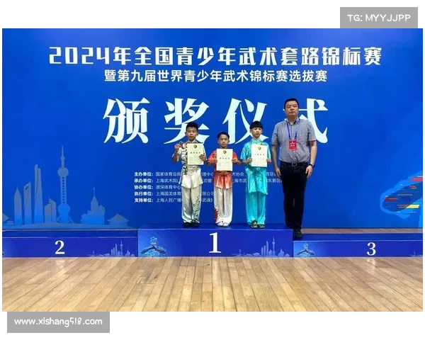 2017河南武术锦标赛盛大举行高手云集展现中华武艺风采 2017河南武术锦标赛盛大举行高手云集展现中华武艺风采