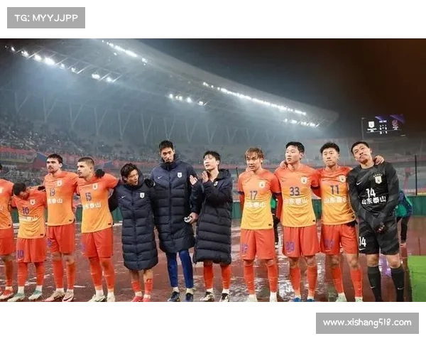 2008年退赛事件_08年20强赛