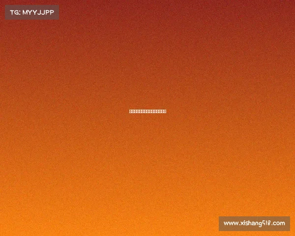 格斗赛事分级—格斗分为几个级别